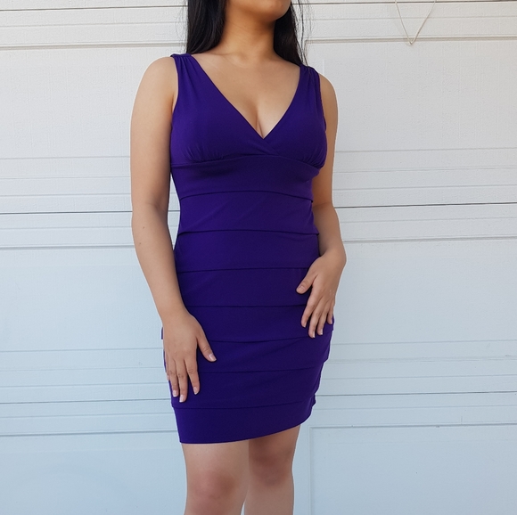 Enfocus Studio Purple Bodycon V-Neck Dress - Picture 1 of 6